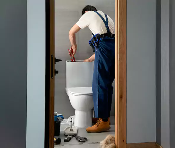 Professional Plumbers for Toilet Bowl Replacement in Bloomington, CA: Schedule Affordable Toilet Replacement Services With Us