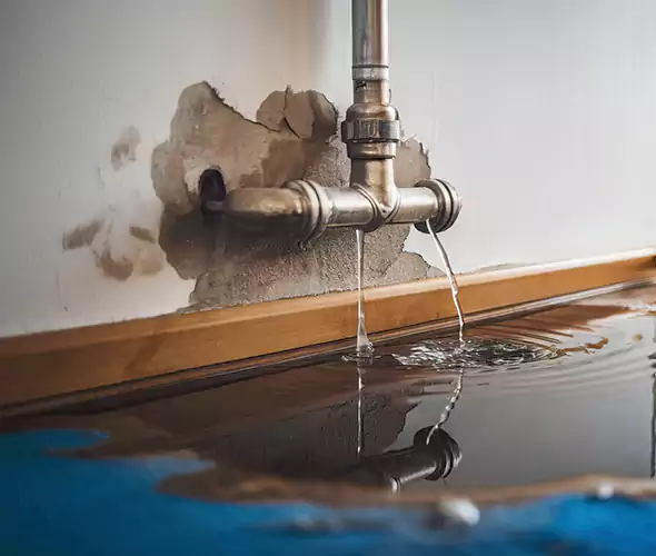 Professional Water Damage Restoration Experts in Bloomington, CA — Fast, Reliable & Certified